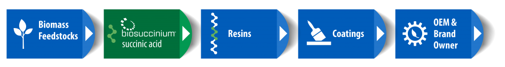 Biosuccinium Value Chain