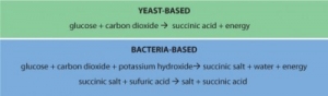 Figure 2. With Reverdia’s proprietary low pH (<3) yeast-based fermentation process the succinic acid is present as H2SA. In the case of bacteria-based fermentation, as base is added to control the pH so the succinic is present as K2SA. The salt has to be transferred into acid, for example, through the addition of H2SO4. Alternatively electrodialysis, which requires significant amounts of energy, can be used to convert the succinic salt to succinic acid
