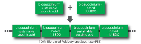 Creation of 100% bio-based PBS