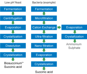 Figure 3. Reverdia’s yeast-based fermentation process has significant advantages over bacteria-based processes enabling sustainable performance delivering a unique and consistent product quality.